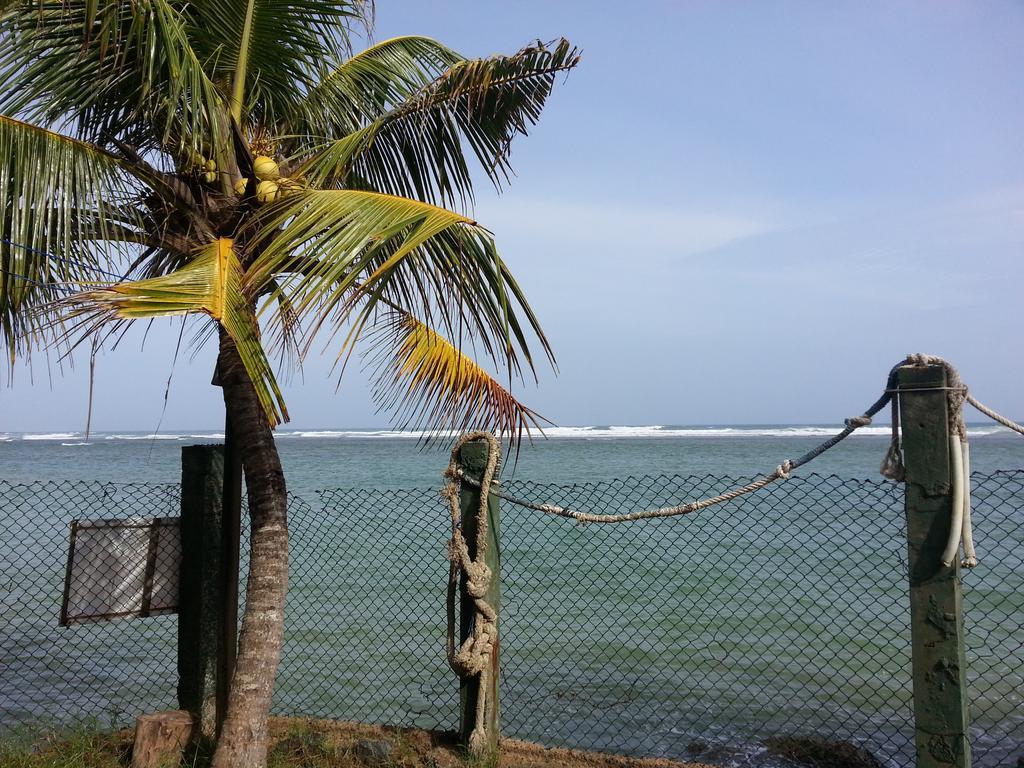 Sayuri Beach Hotel Matara Exteriör bild